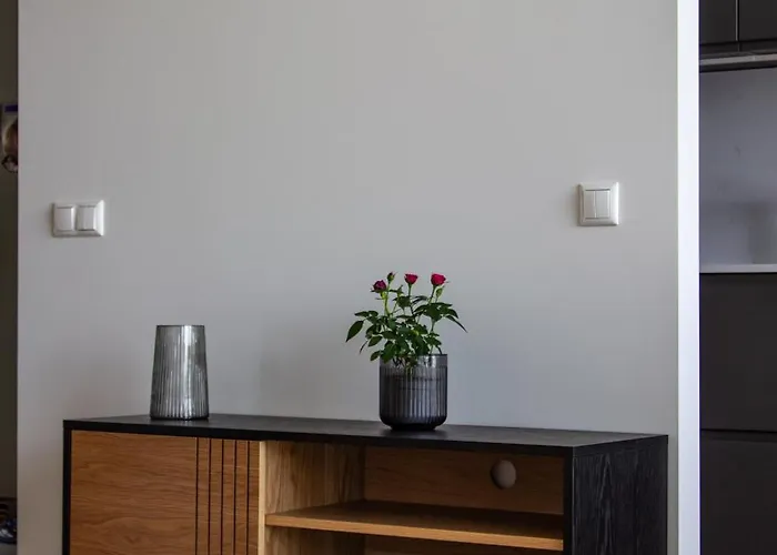 Sadama Guest * 합살루