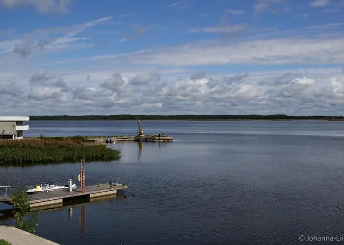 Sadama Guest * 합살루