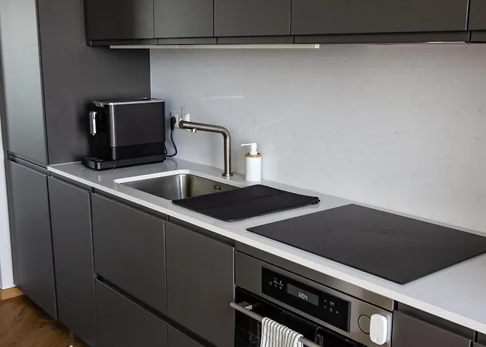 아파트 Sadama Guest 합살루